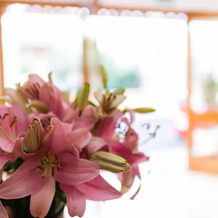 Vista Sol Cala Rajada