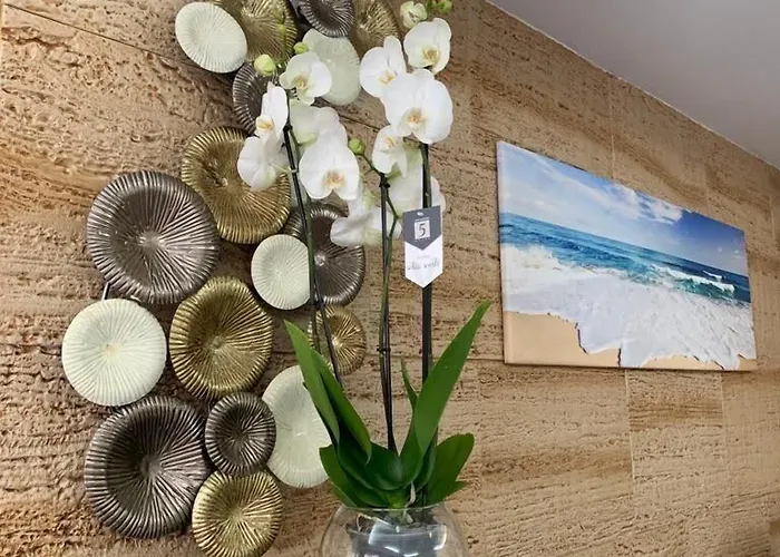 Hotel Vista Sol Cala Rajada *