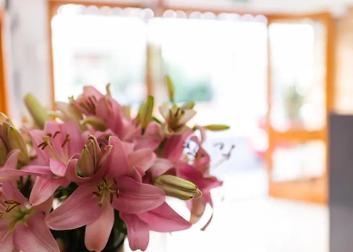 Vista Sol Cala Rajada