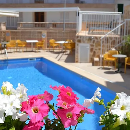 Vista Sol Cala Rajada 酒店 卡拉纳雅达