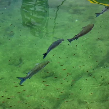 Vista Sol Cala Rajada Hotell *