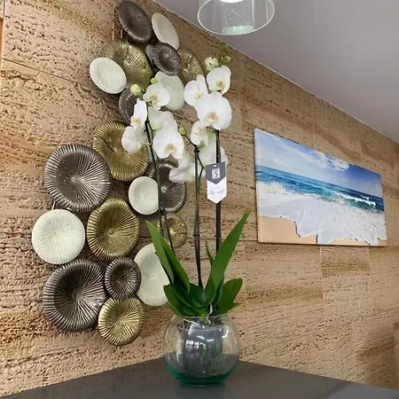 酒店 Vista Sol Cala Rajada *